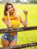 Nashville Stripper 34 Nashville Stripper 34